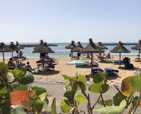 IMG_Las Americas 6941